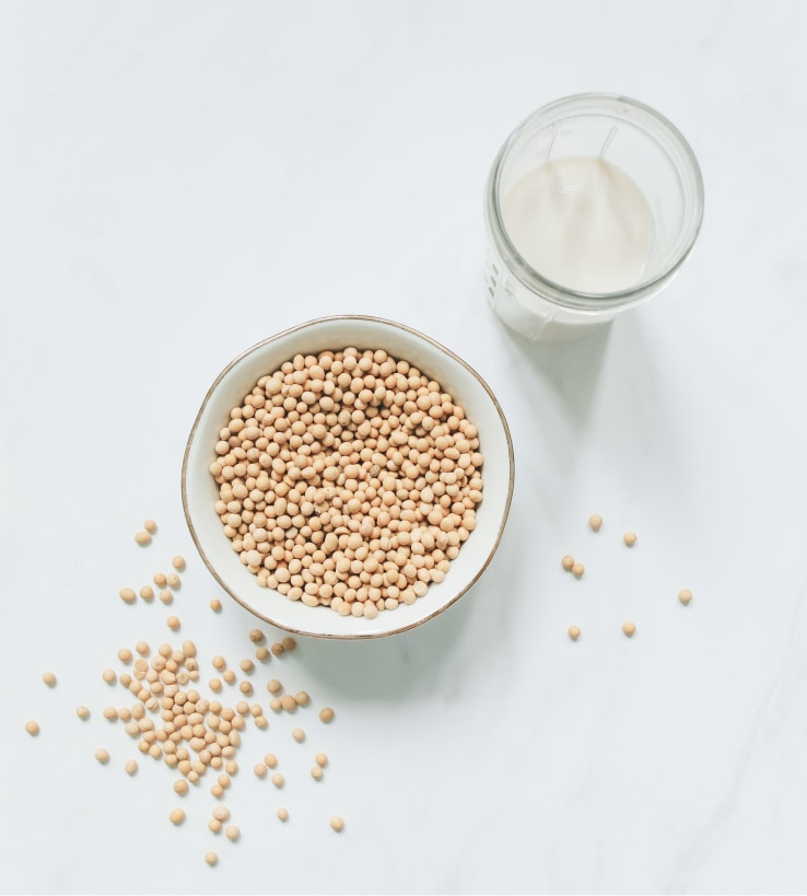 A Simple Recipe for the best Soy milk